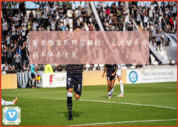 塞尔维亚队阵容解析:主力球员与战术体系全览