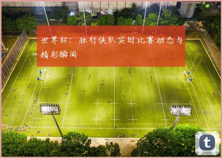 世界杯:独行侠队实时比赛动态与精彩瞬间